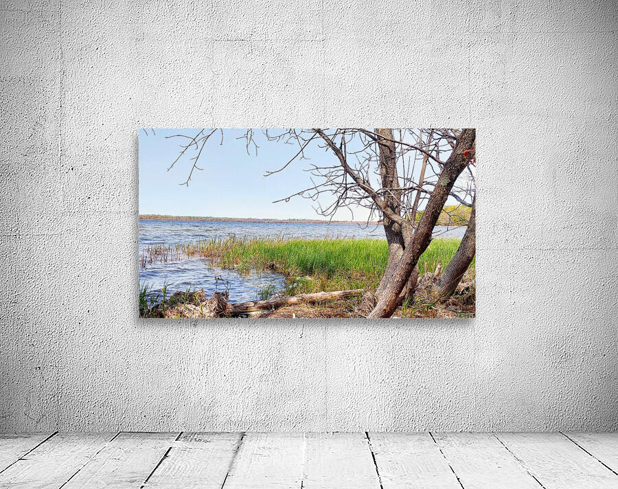 Boat Lake Wall Preview