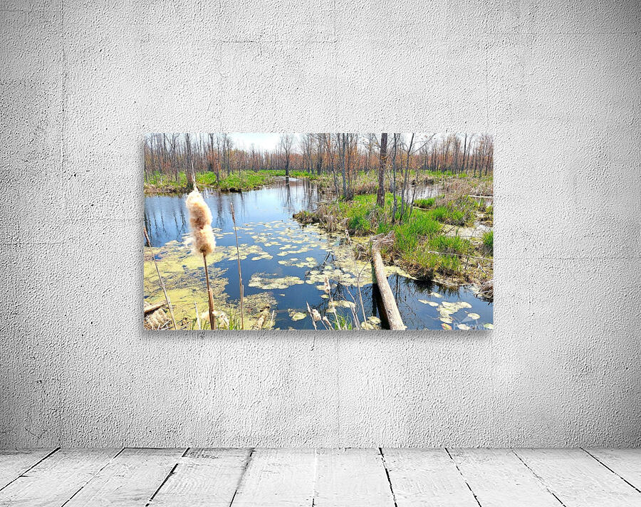 Penninsula Marsh Wall Preview