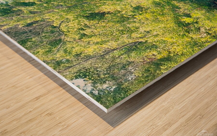 Boat Lake Creek Wood print