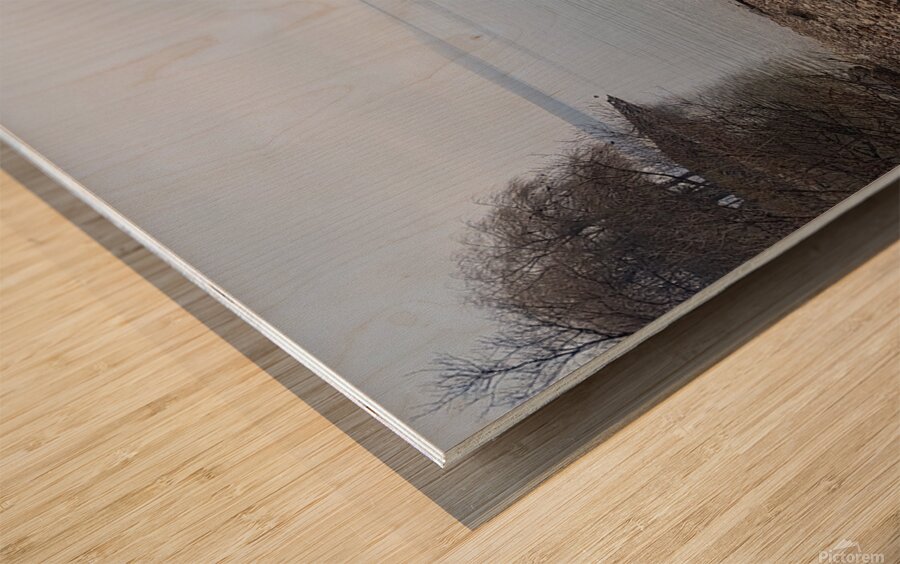 Pondering Wood print