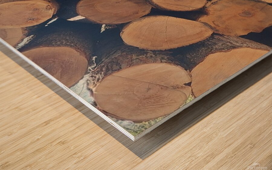 Winter Wood Wood print