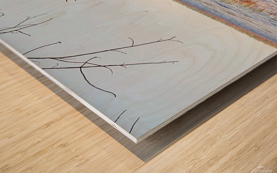 Boat Lake Wood print