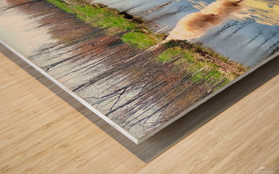 Penninsula Marsh Wood print