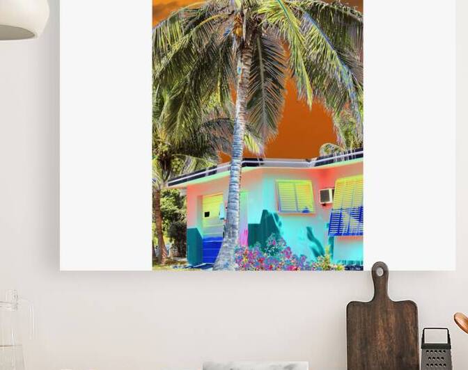Coconut Palm Lane by Rene Griffith