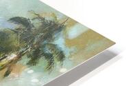 Florida Outdoors HD Metal print