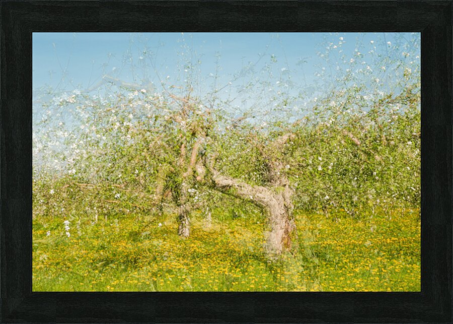 Parcours de vie Picture Frame print