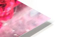 Pretty in Pink HD Metal print