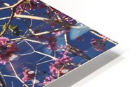 Anime cherry blossom xx HD Metal print