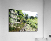 IMG 1371 Acrylic Print