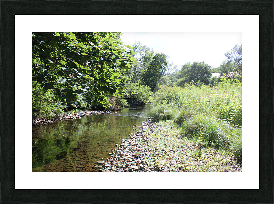IMG 1371 Picture Frame print