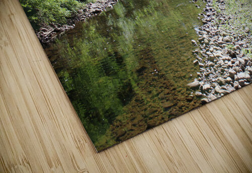 IMG 1371 MooseofthePhotos puzzle