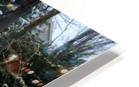 IMG 0994 HD Metal print