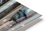 IMG 1043 HD Metal print