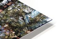IMG 5212 HD Metal print
