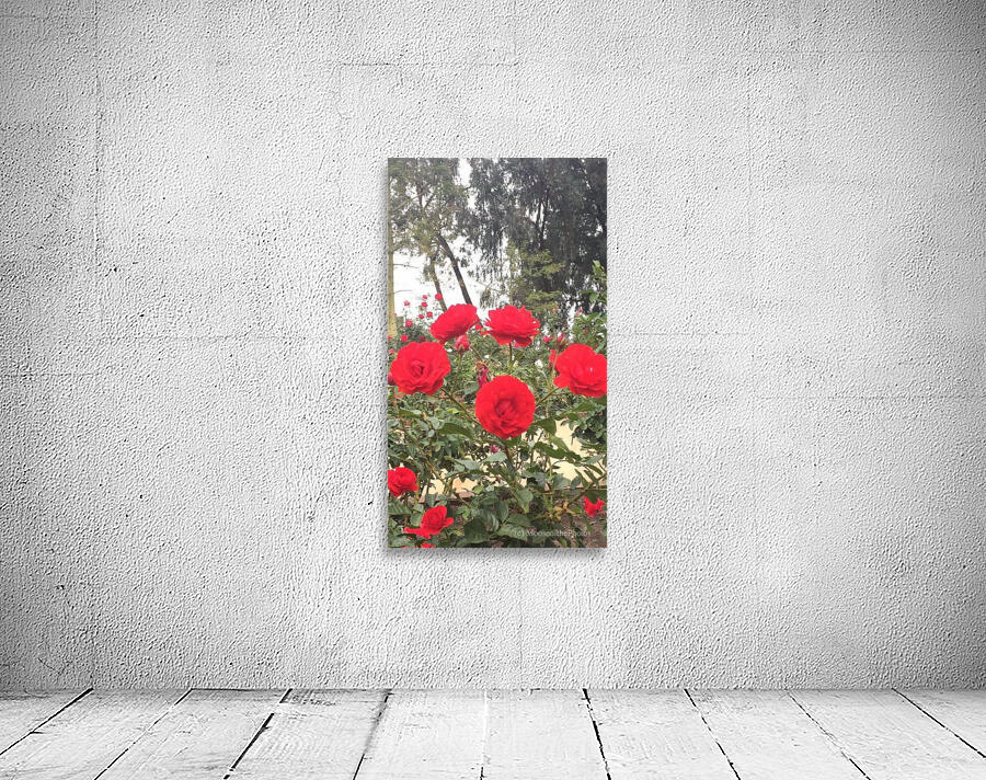 any Wall Preview