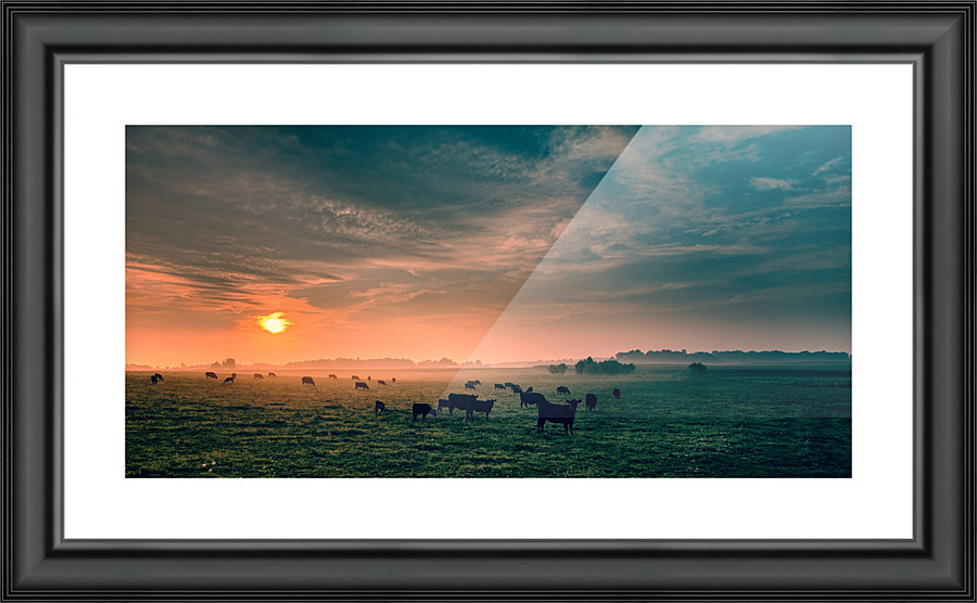  Fine Art print