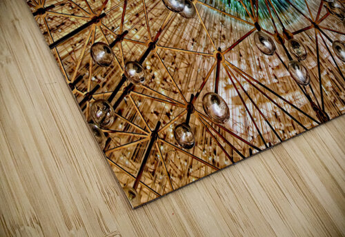Lucent Sculpture - Chicago Michael Ross Fine Art Photography puzzle