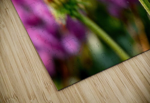 Crown Michael Ross Fine Art Photography puzzle