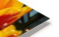 Red Yellow HD Metal print