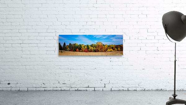  Fall Tree Line Wall Preview