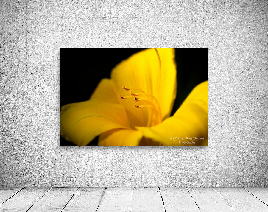 Bowing Stamen Wall Preview