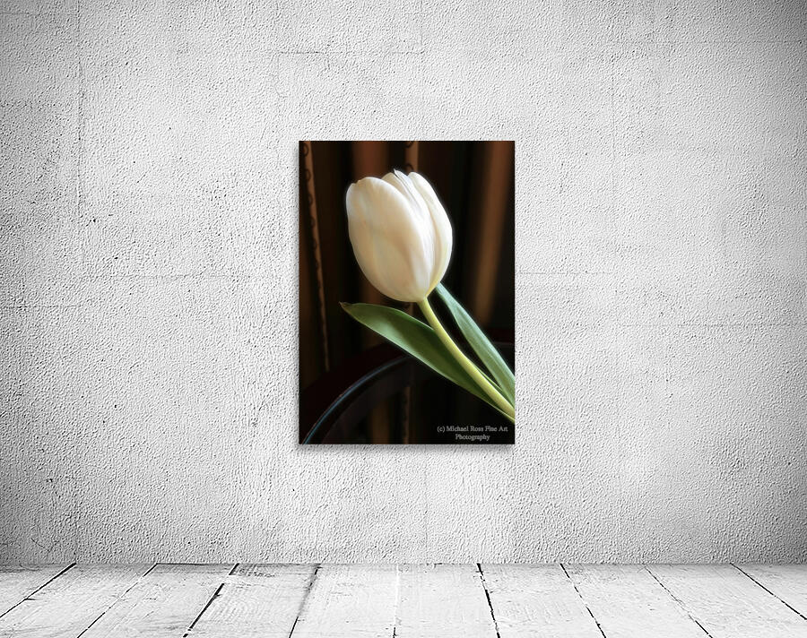 Debs Tulip Wall Preview