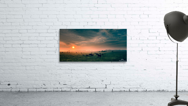 Foggy Cattle Wall Preview