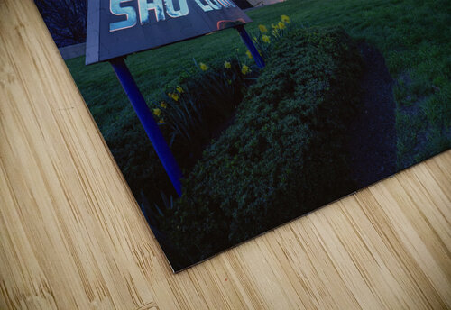 Beth Sholom Synagogue in Elkins Park PA Judaic Gallery puzzle