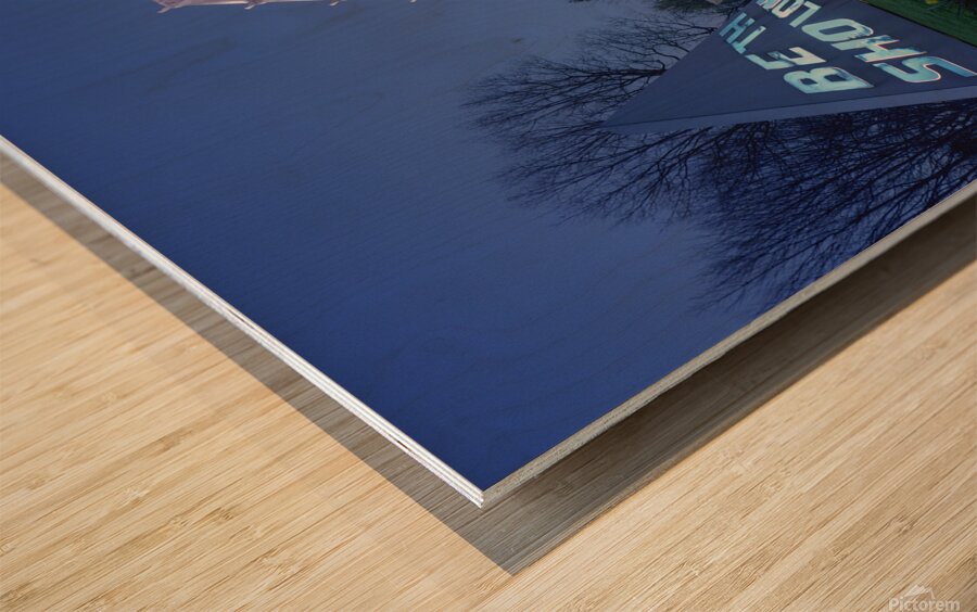 Beth Sholom Synagogue in Elkins Park PA Wood print