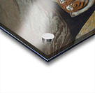 Tiger Illustration Mammal Acrylic print