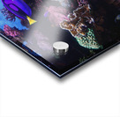 Underwater Scene  Acrylic print