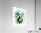 Fantail Wrens Acrylic Print