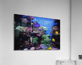 Underwater Scene  Acrylic Print