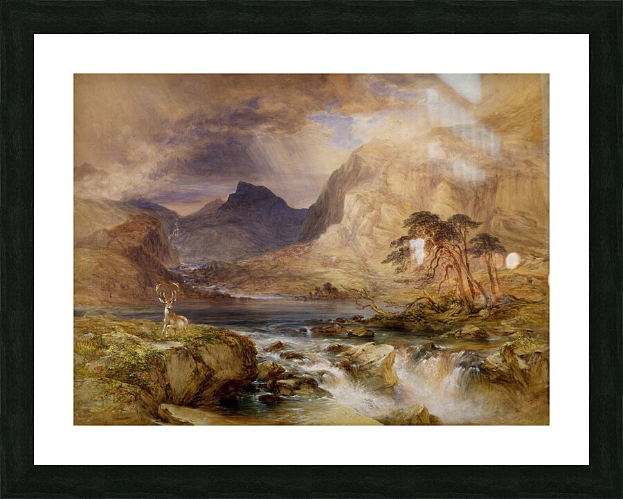  Fine Art print