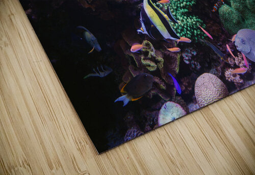 Underwater Scene  Melds Gallery puzzle