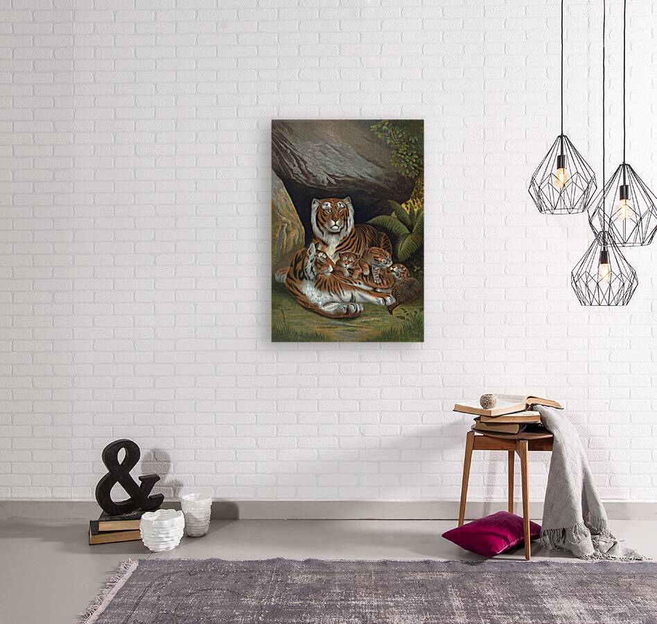 Tiger Illustration Mammal Reproduction