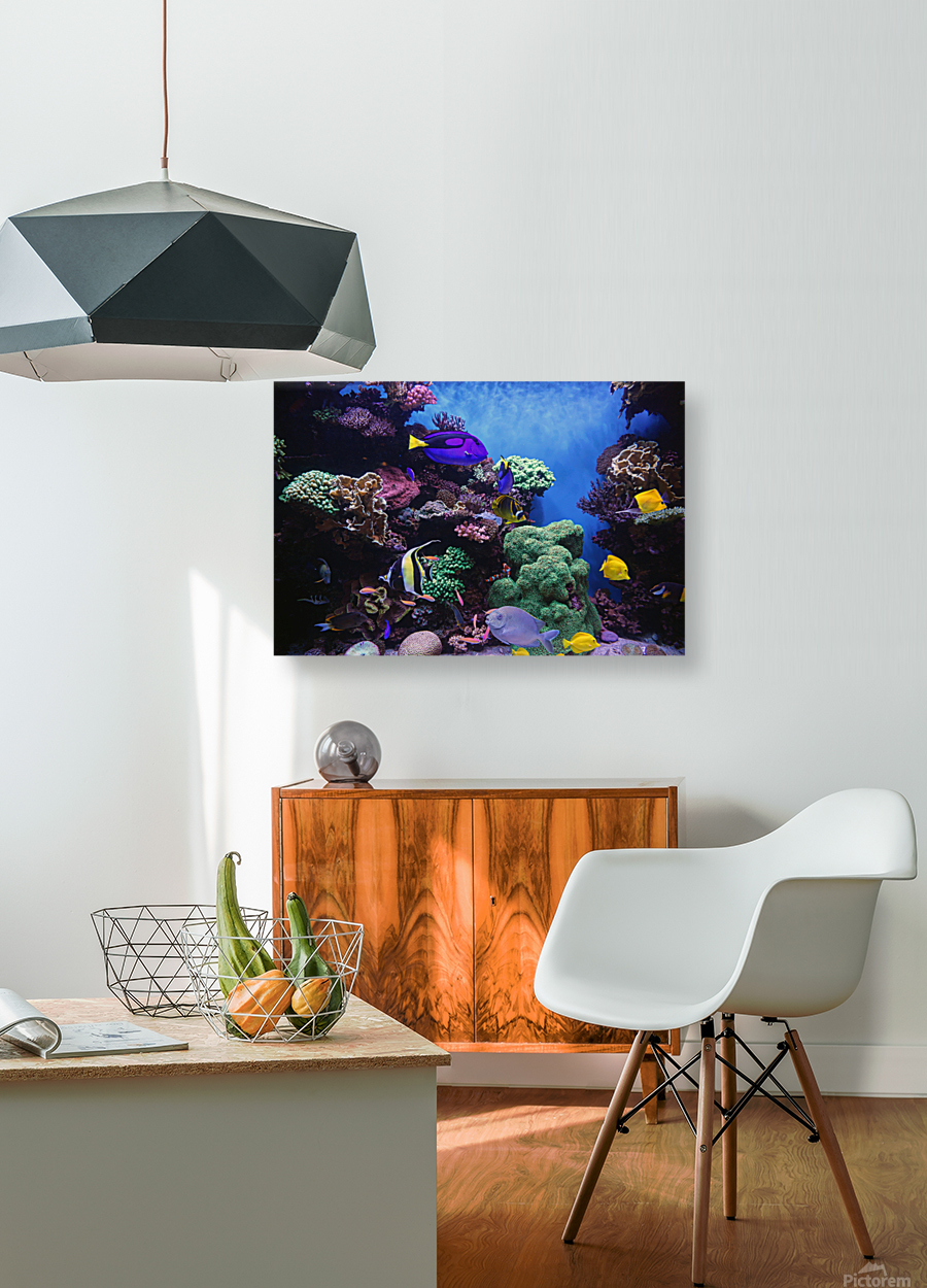 Underwater Scene  Reproduction
