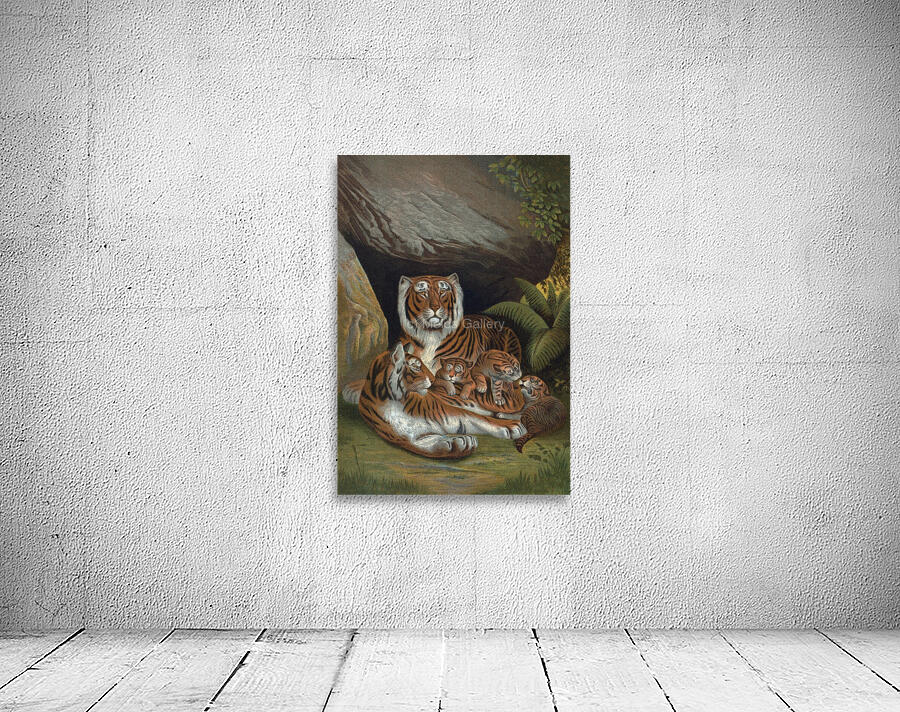Tiger Illustration Mammal Wall Preview
