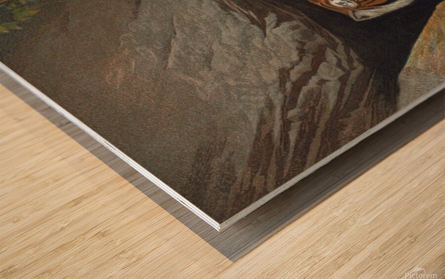 Tiger Illustration Mammal Wood print