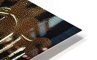  Weeping birch  HD Metal print