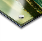 Isabela Acrylic print