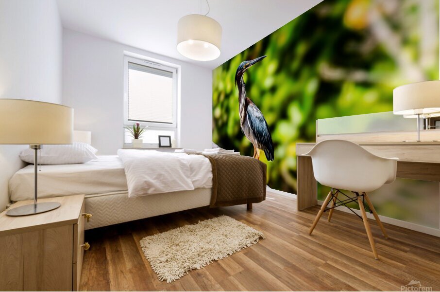 Say what  Mural print