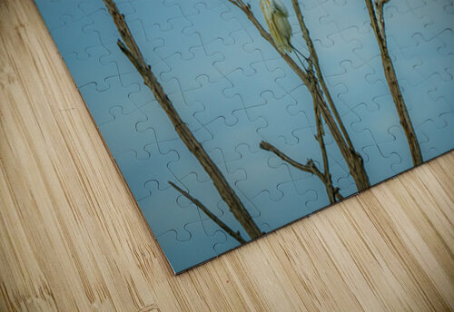  No worries Ron Miller puzzle
