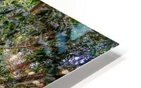 Banyon Tree HD Metal print