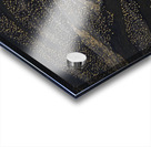 SANDBARS AND SANDHILL CRANES Acrylic print