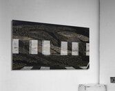 SANDBARS AND SANDHILL CRANES Acrylic Print