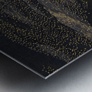 SANDBARS AND SANDHILL CRANES Metal print