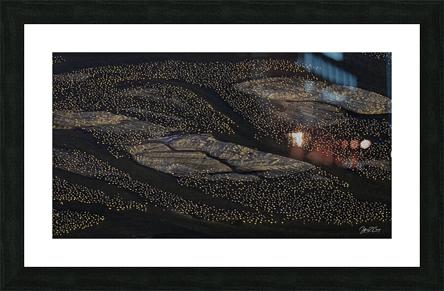 SANDBARS AND SANDHILL CRANES Picture Frame print