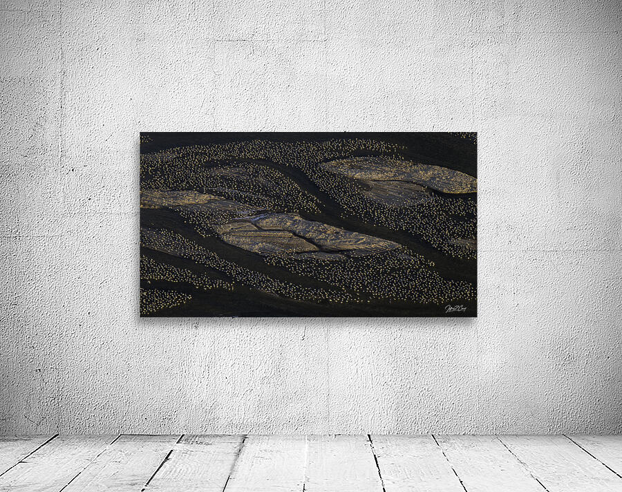 SANDBARS AND SANDHILL CRANES Wall Preview