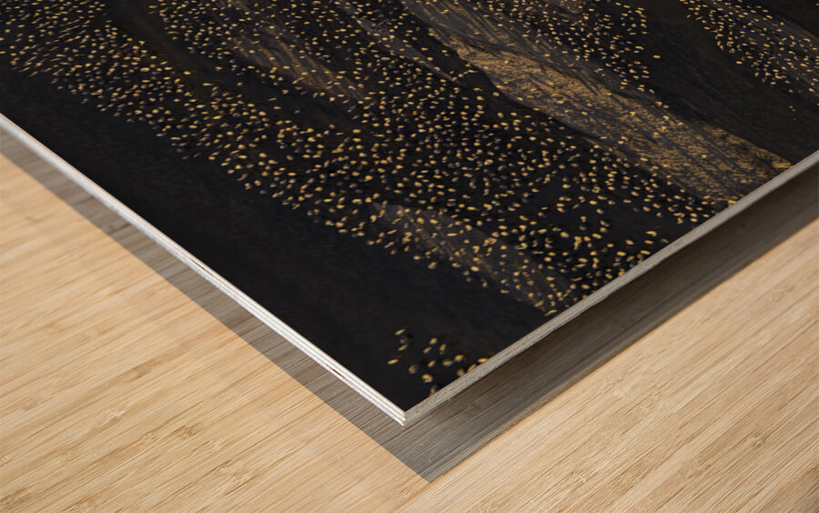 SANDBARS AND SANDHILL CRANES Wood print